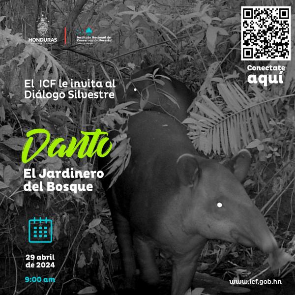 Celebrando al "Jardinero del bosque" ICF te invita al Diálogo Silvestre