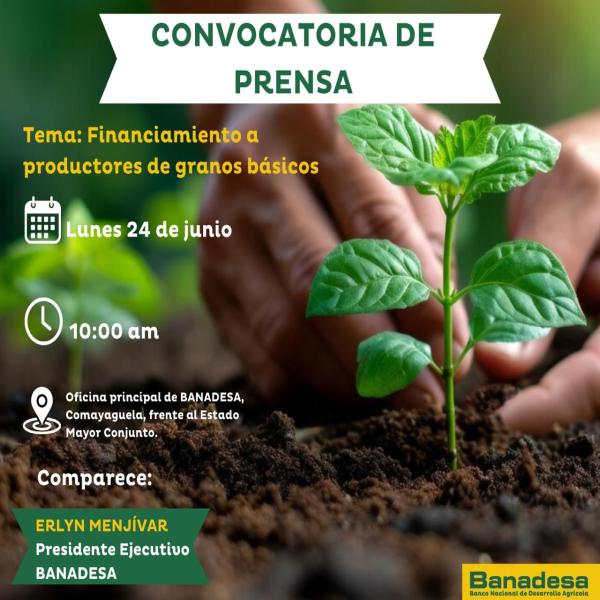 BANADESA: Financiamiento a productos de granos básicos 