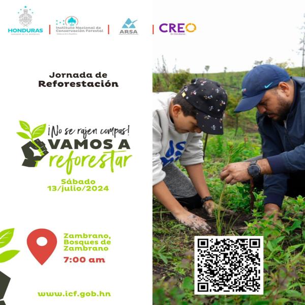ICF: Jornada de reforestación – Zambrano 