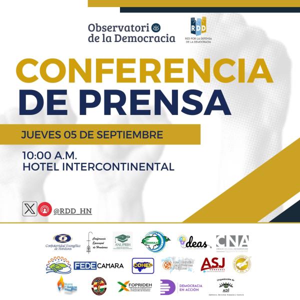 Observatorio de la Democracia: Posicionamiento ante los recientes acontecimientos y posturas adoptadas por el Poder Ejecutivo