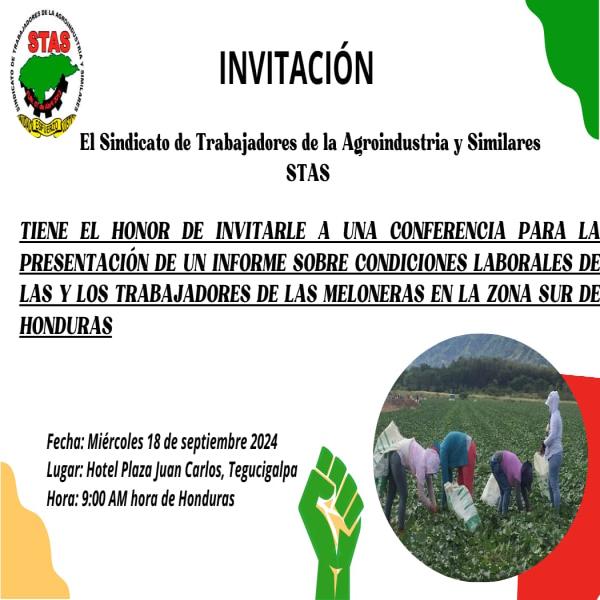 Presentación del Informe sobre condiciones laborales de las meloneras de la zona sur  