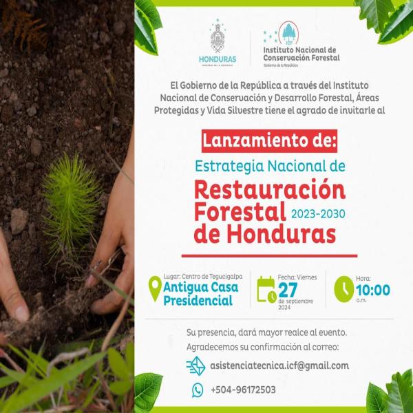 Lanzamiento de la Estrategia Nacional de Restauración Forestal de Honduras – 2023-2030