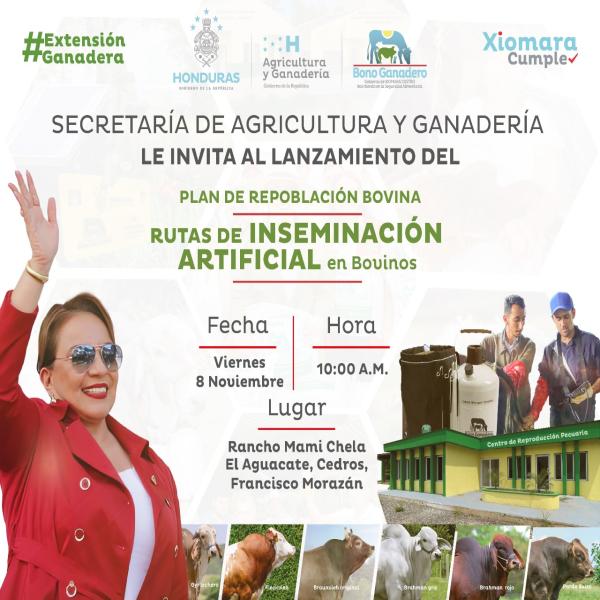 Gran lanzamiento del programa Rutas de Inseminación Artificial en Bovinos