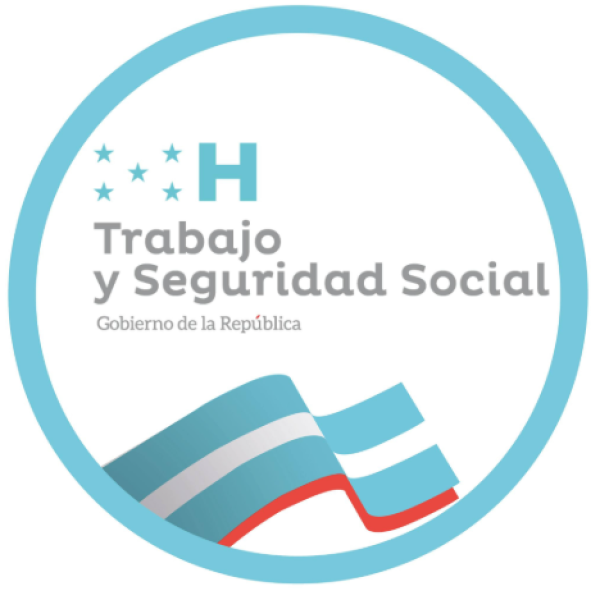 Secretaría del Trabajo: Caso STIBYS 