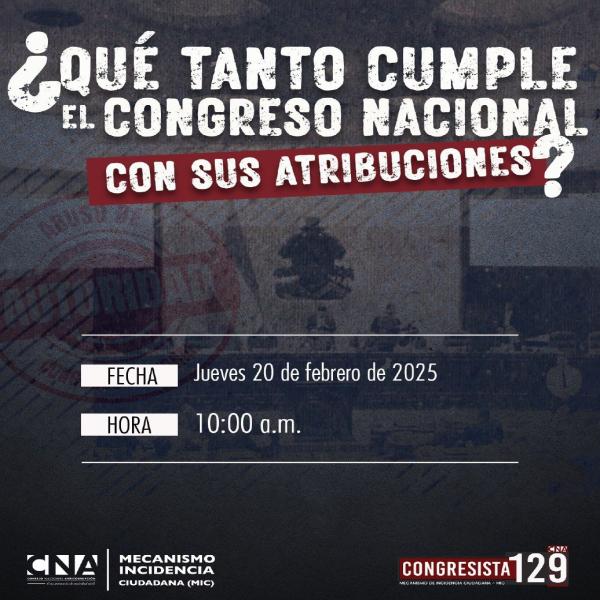 CNA: ¿Qué tanto cumple el Congreso Nacional con sus atribuciones? 
